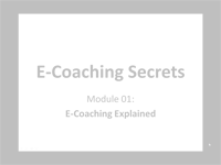 eCoaching Success